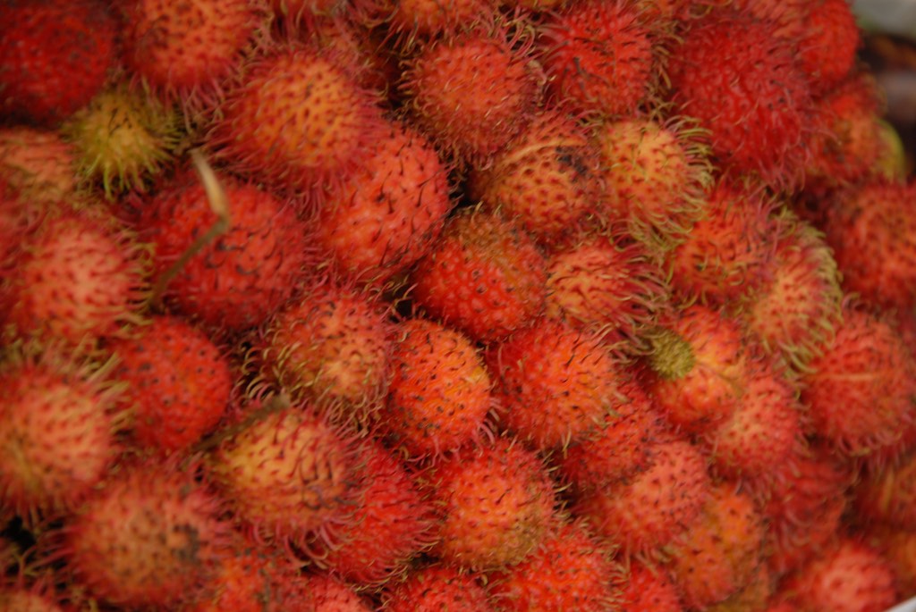 Chom-chom is my favourite (also known as Rambutan)