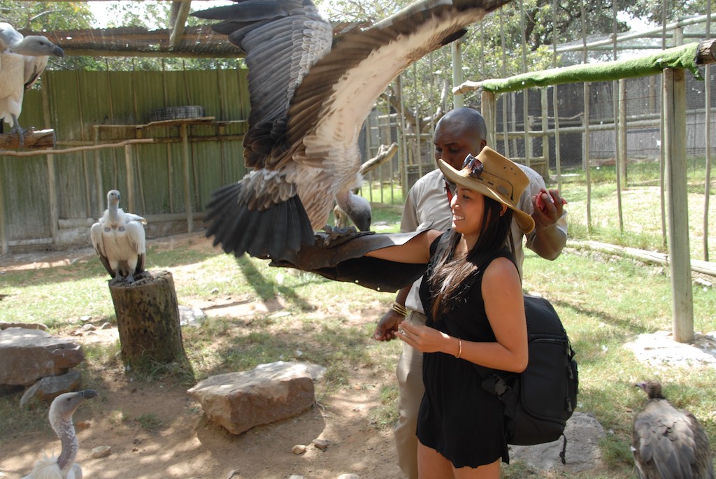 Pretty heavy birds !