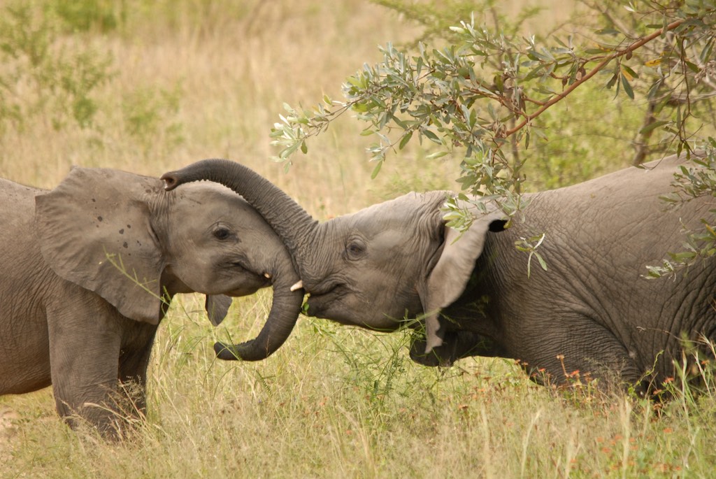 Two kids having fun