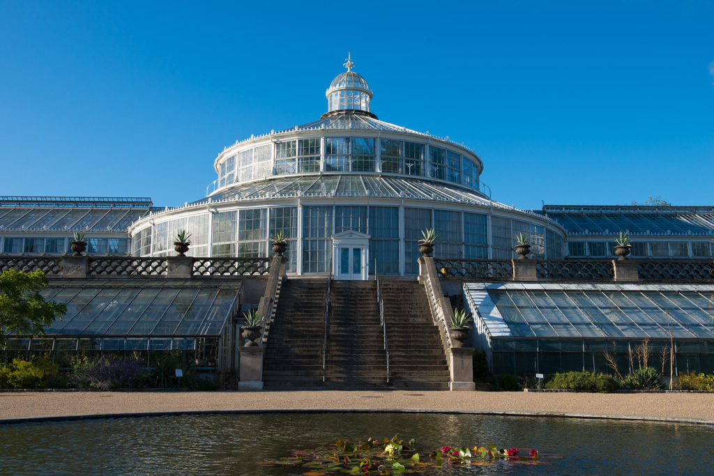 The greenhouse in the botanical garden