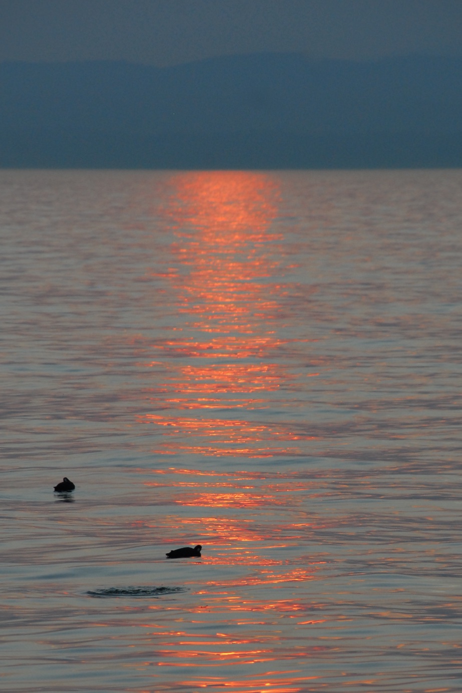 lago_sunset