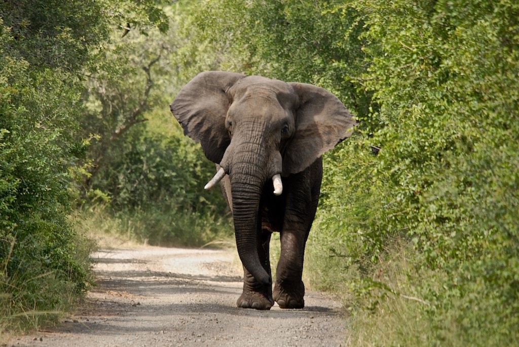 This guy was in our way so better be prepared to use the reverse gear