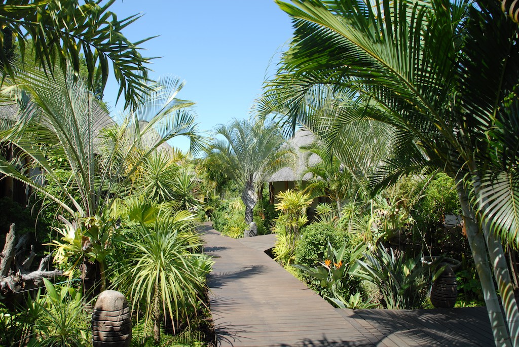 A small pathway leading to the bungalows of Lodge Afrique where we stayed in St Lucia