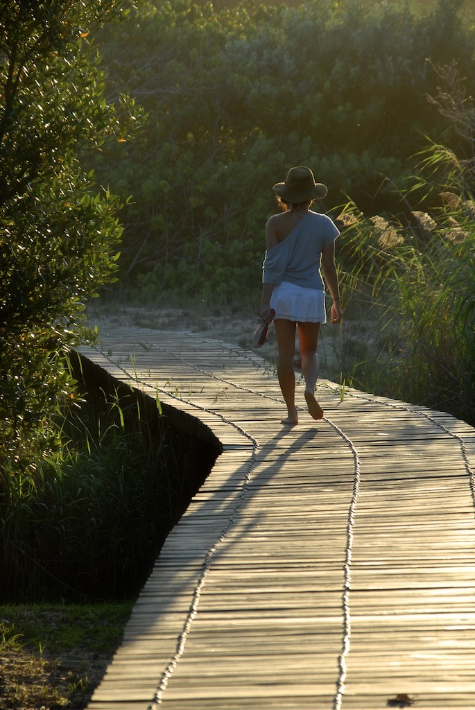 Wooden pathway during sunset