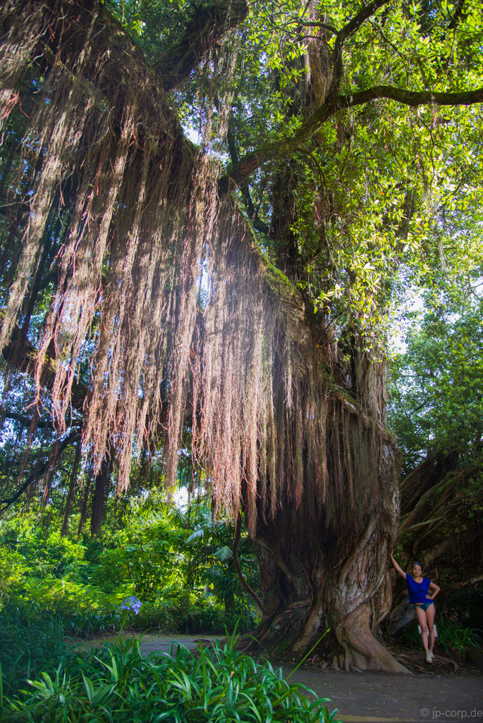 Azores-33